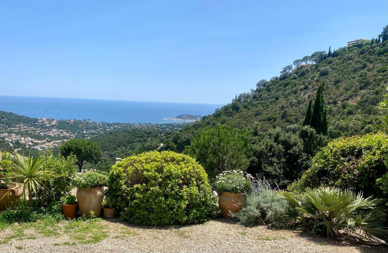 Villa Baievue Cavalaire-sur-Mer Exteriör bild