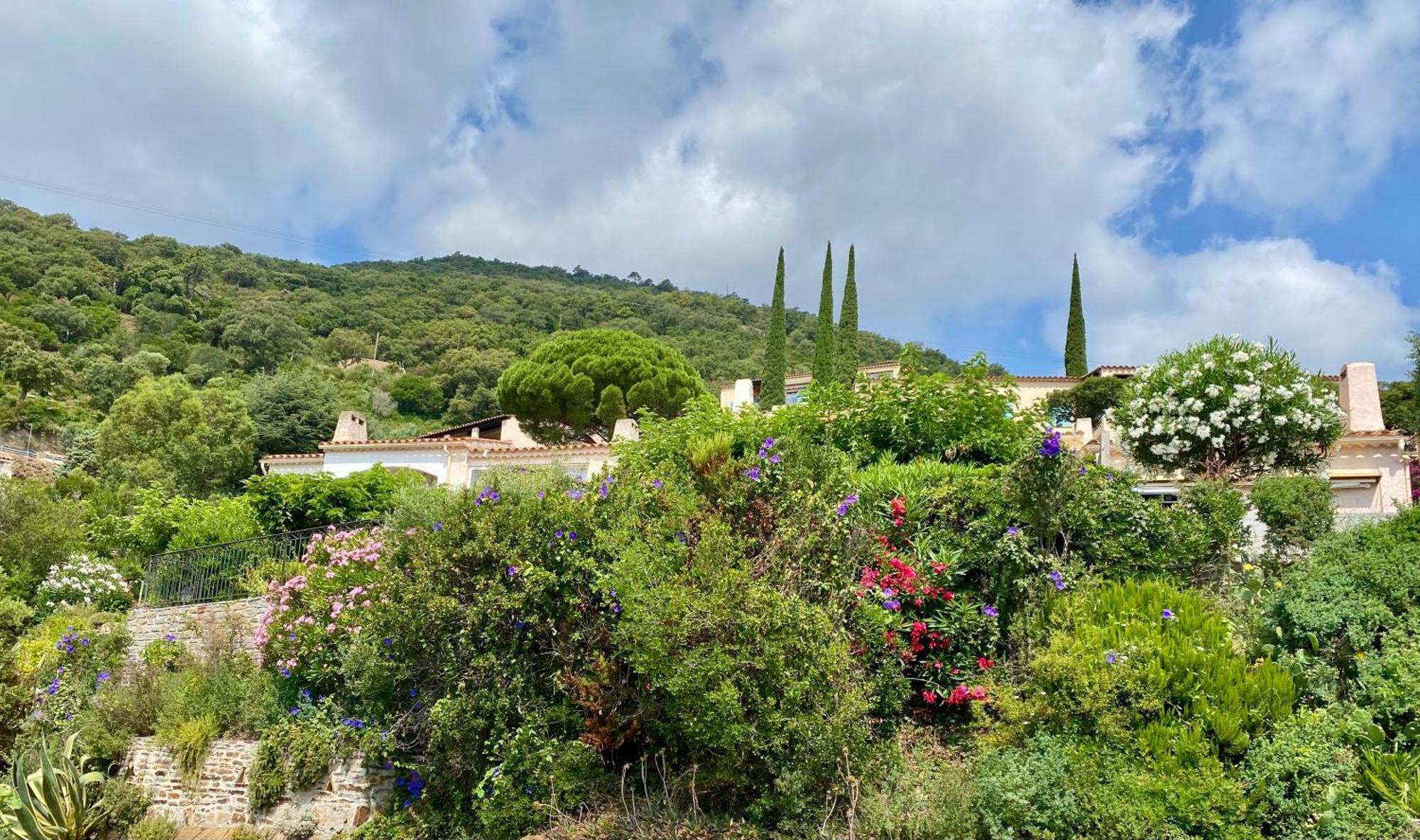 Villa Baievue Cavalaire-sur-Mer Exteriör bild